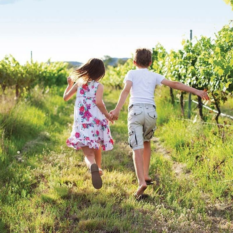 Kids running through vineyards